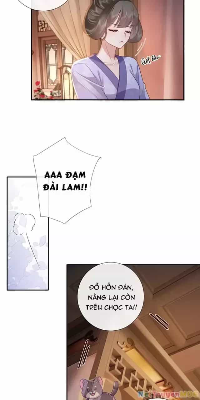 Không Biết Bệ Hạ Là Một Tiểu Cô Nương - Chương 77 - ảnh 26