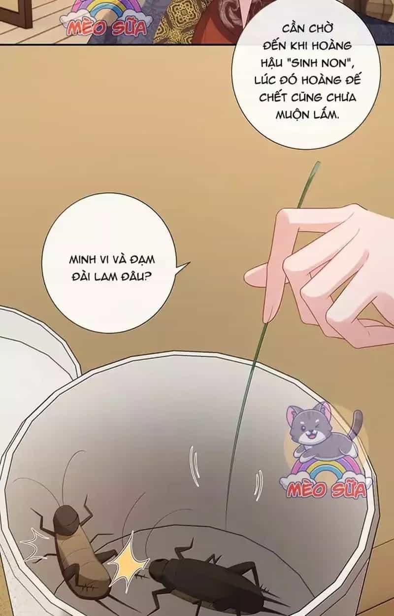 Không Biết Bệ Hạ Là Một Tiểu Cô Nương - Chương 83 - ảnh 34
