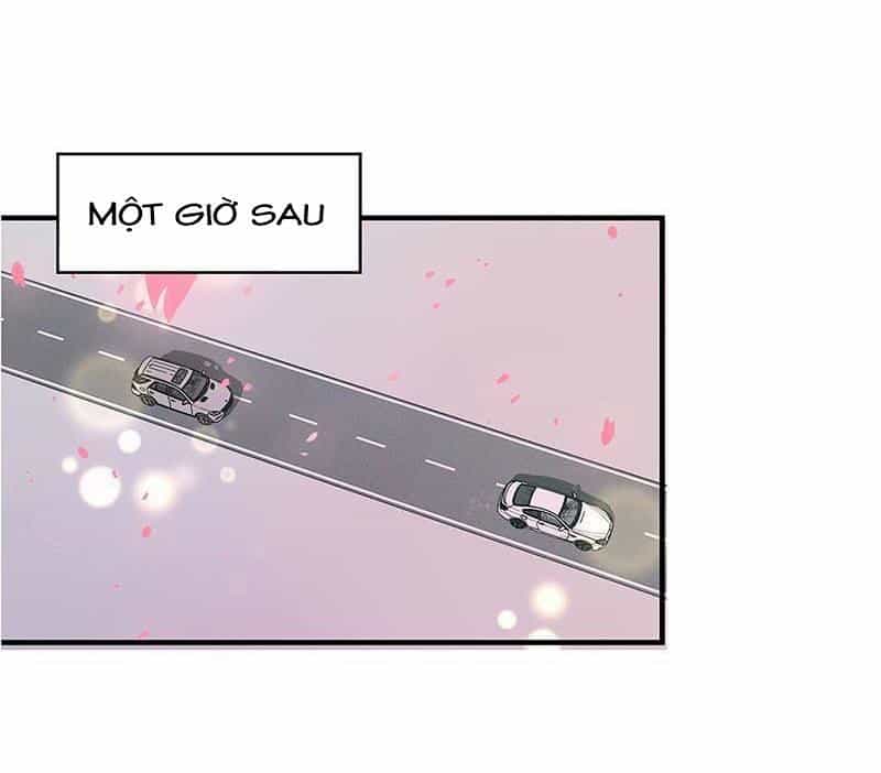 Không Gả Cho Tổng Tài, Gả Cho Người Hầu - Chương 164 - ảnh 20