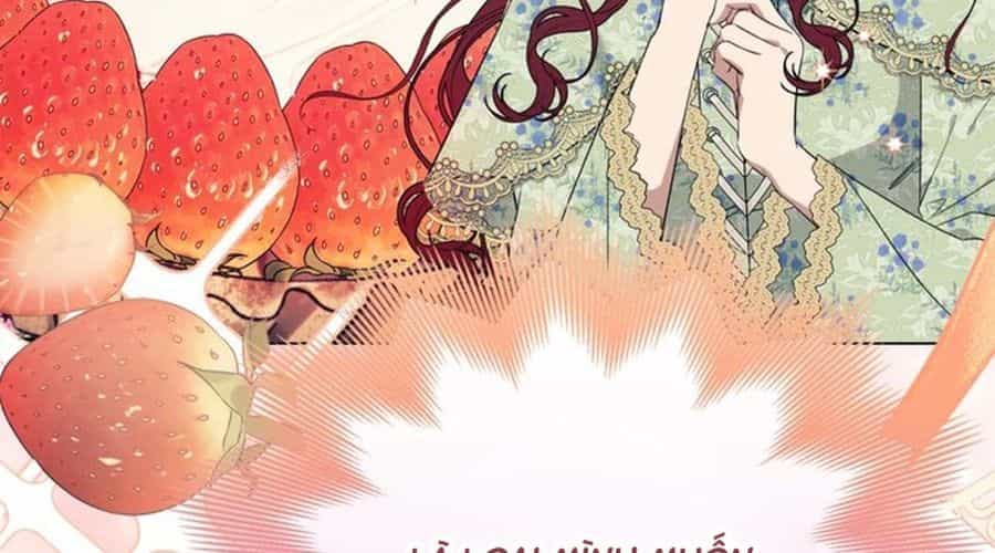 Không Phải Câu Chuyện Chuyển Sinh Thông Thường - Chương 33 - ảnh 94