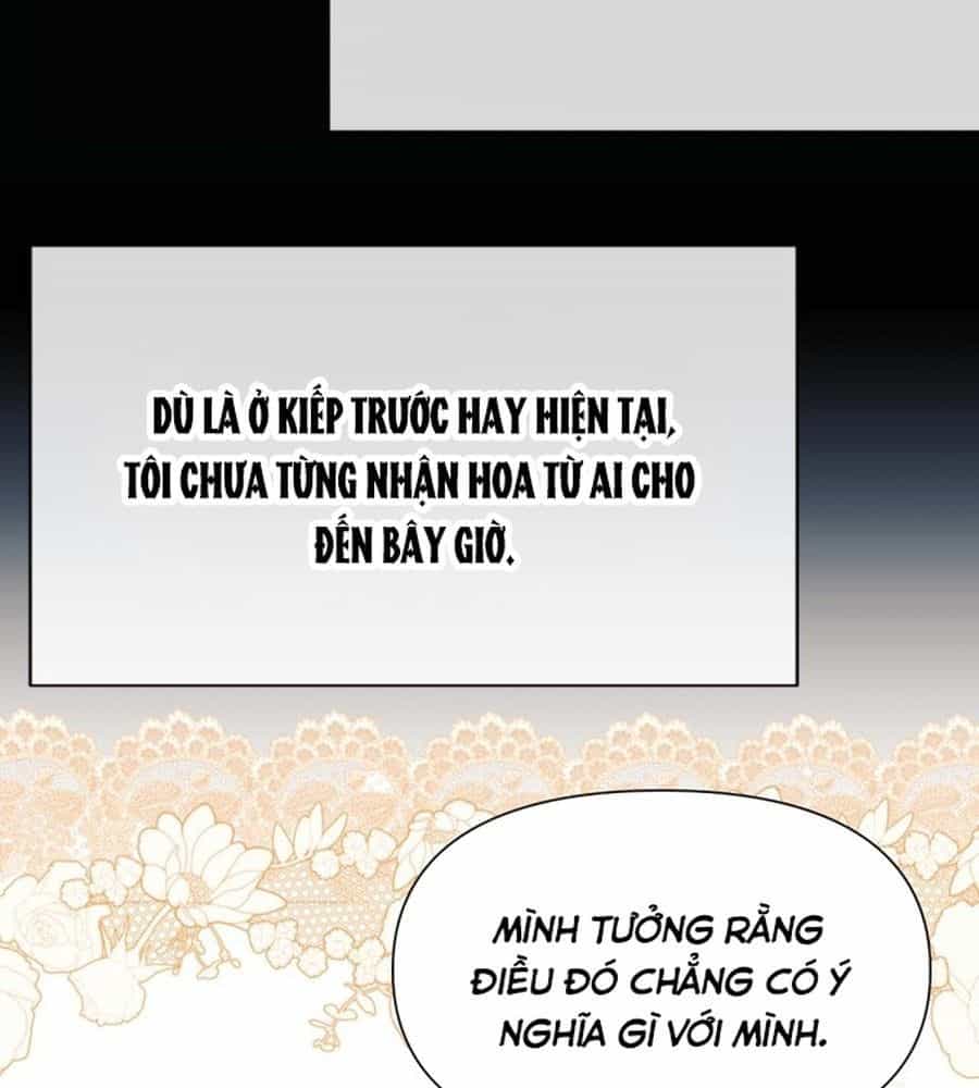 Không Phải Câu Chuyện Chuyển Sinh Thông Thường - Chương 36 - ảnh 47
