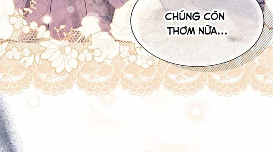 Không Phải Câu Chuyện Chuyển Sinh Thông Thường - Chương 36 - ảnh 51