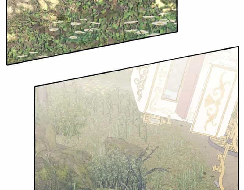 Không Phải Câu Chuyện Chuyển Sinh Thông Thường - Chương 71 - ảnh 56