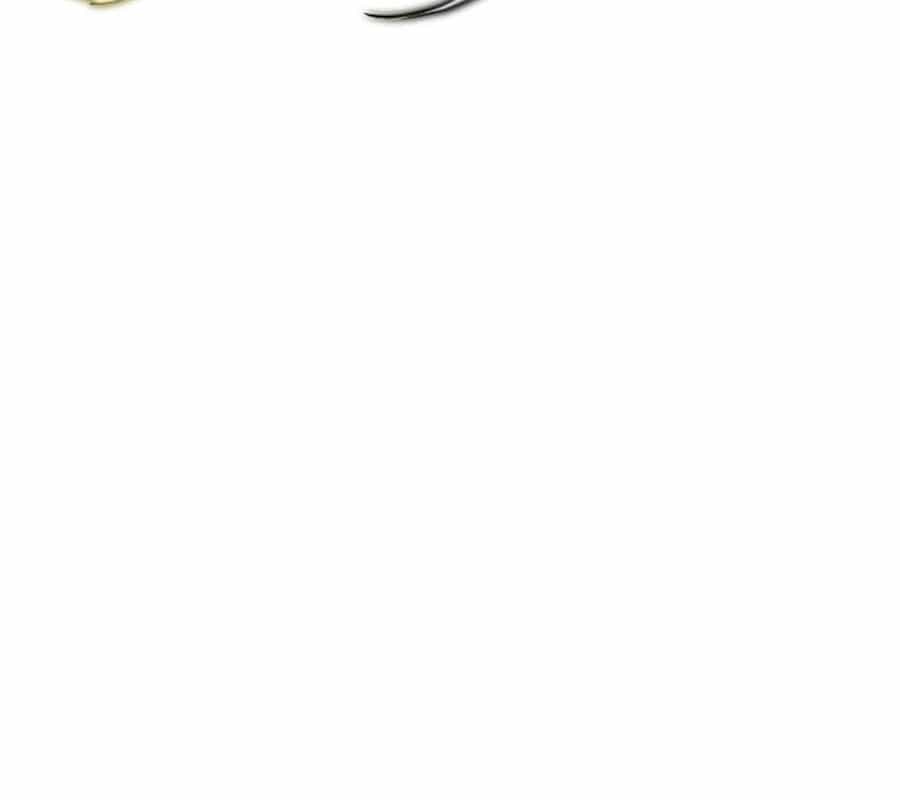 Kiếm Vương - Chương 48 - ảnh 100