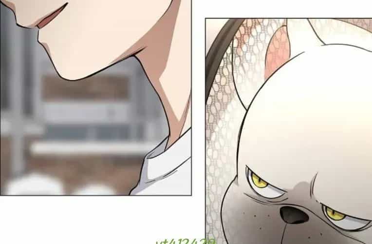 Kiếm Vương - Chương 70 - ảnh 217