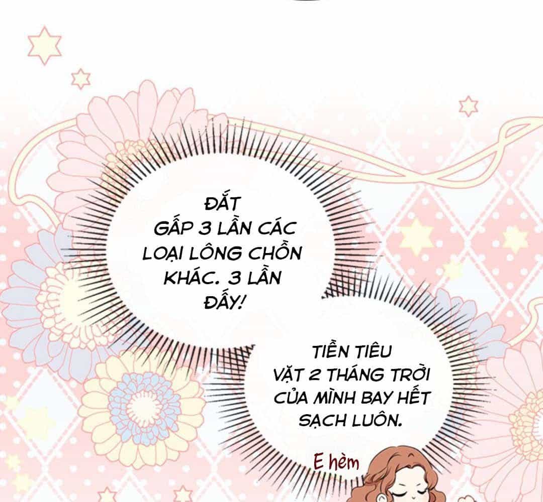 Kiếp Này, Tôi Sẽ Trở Thành Gia Chủ - Chương 49 - ảnh 19