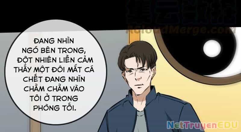 Kiếp Thiên Vận - Chương 187 - ảnh 24