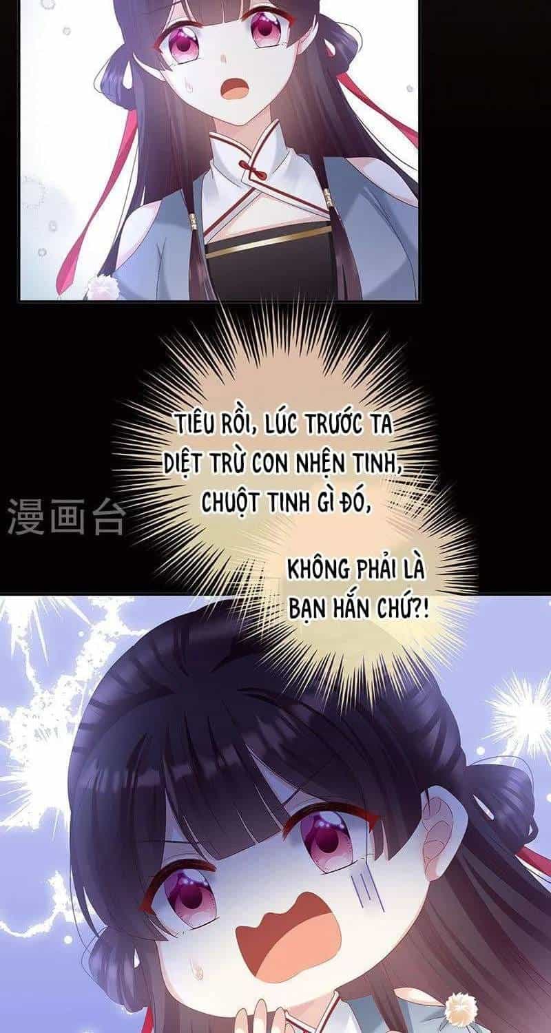 Kiều Phu Có Hỉ - Chương 70 - ảnh 31