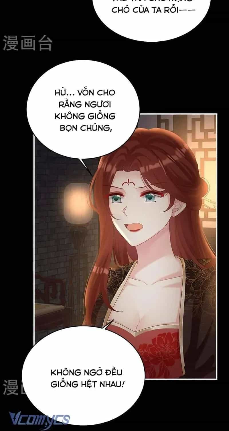 Kiều Phu Có Hỉ - Chương 71 - ảnh 17