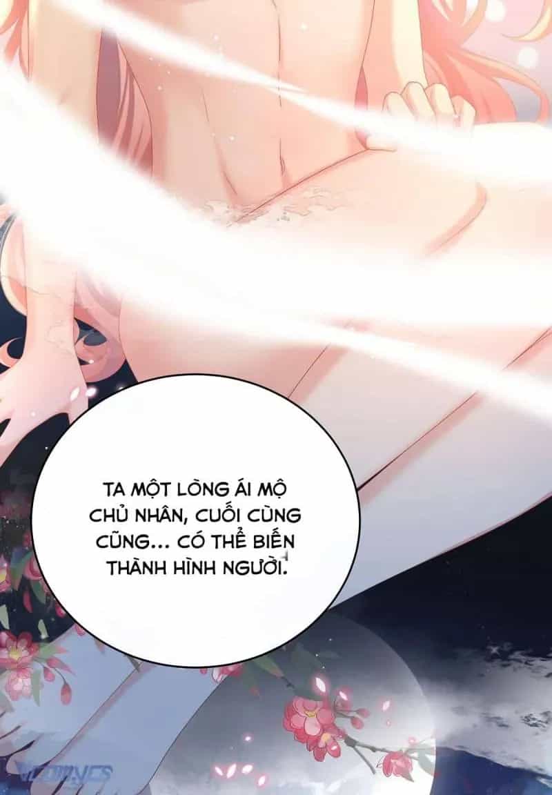 Kiều Phu Có Hỉ - Chương 77 - ảnh 14