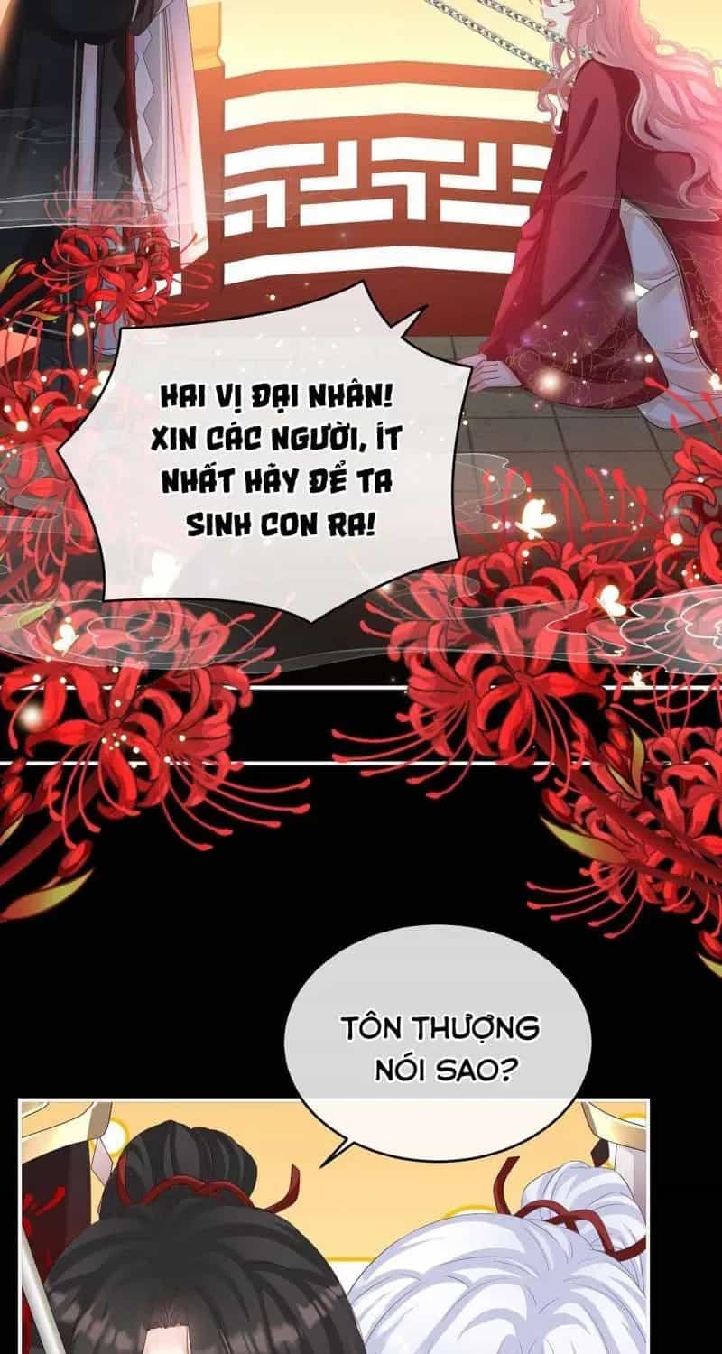 Kiều Phu Có Hỉ - Chương 77 - ảnh 27