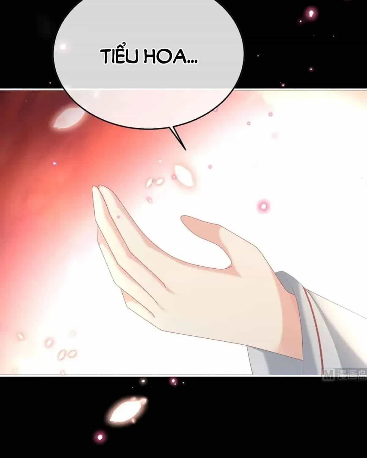Kiều Phu Có Hỉ - Chương 94 - ảnh 69