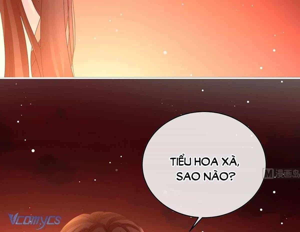 Kiều Phu Có Hỉ - Chương 96 - ảnh 33