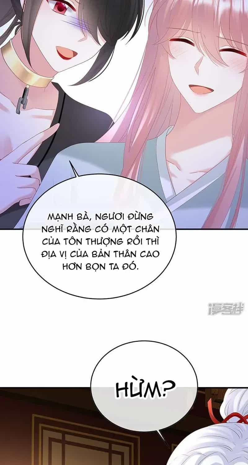 Kiều Phu Có Hỉ - Chương 142 - ảnh 24