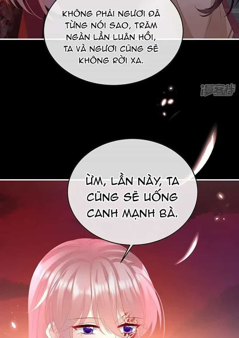 Kiều Phu Có Hỉ - Chương 147 - ảnh 27
