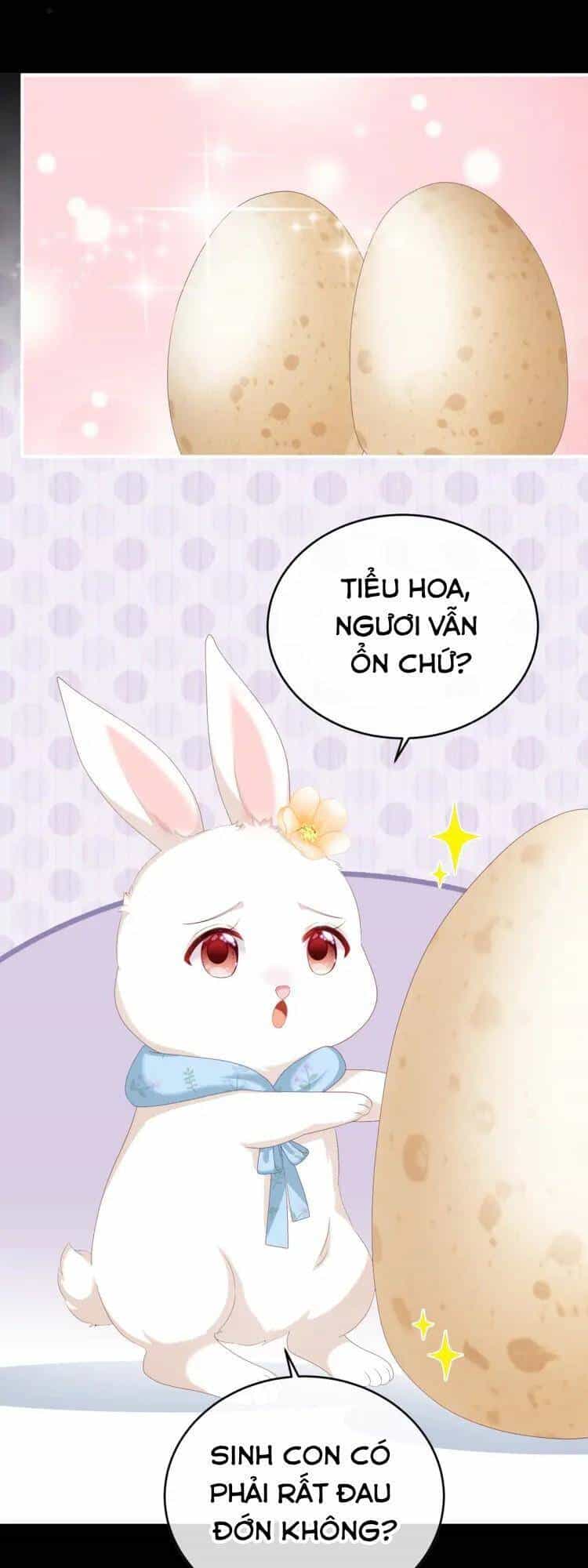 Kiều Phu Có Hỉ - Chương 58 - ảnh 18