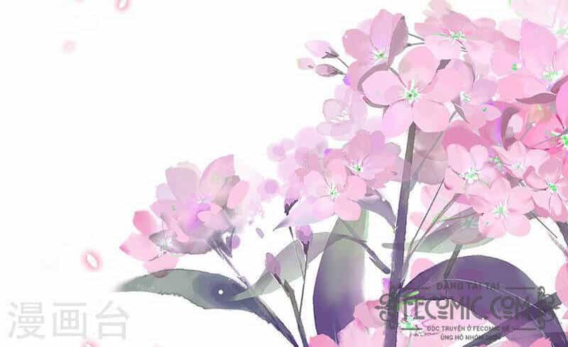 Kiều Phu Có Hỉ - Chương 67 - ảnh 27