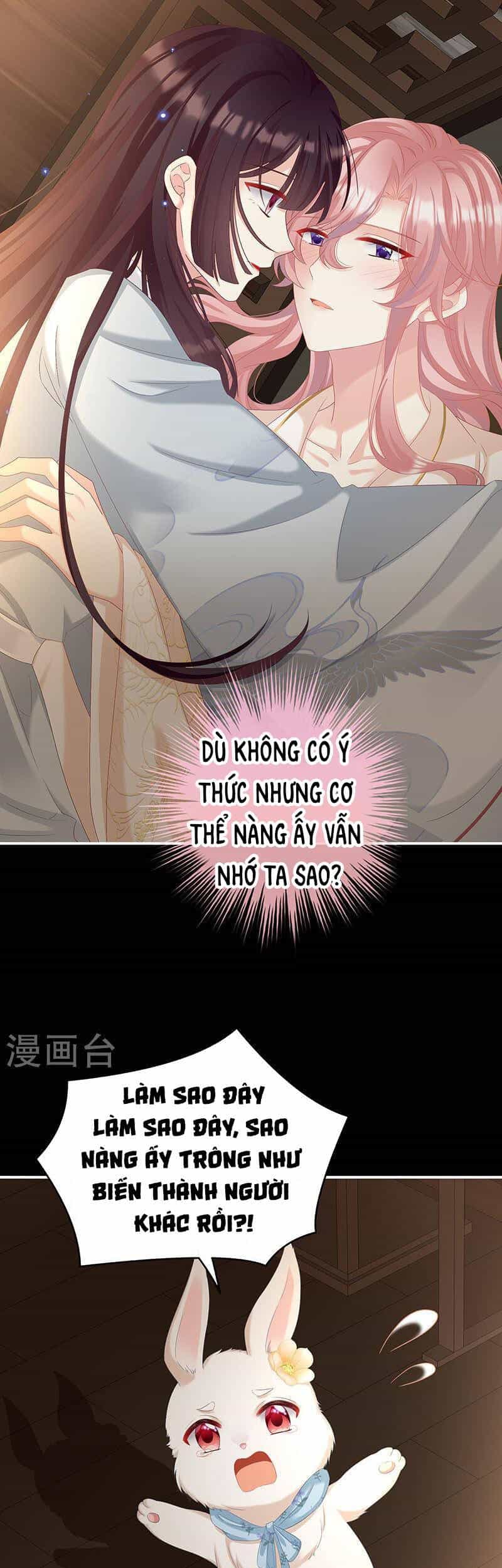 Kiều Phu Có Hỉ - Chương 67 - ảnh 5