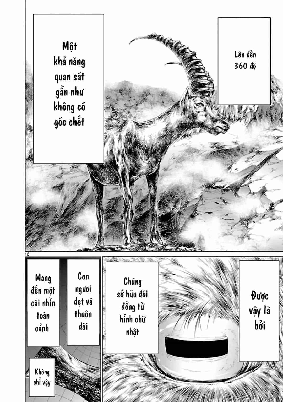 Killing Bites - Chương 56 - ảnh 15