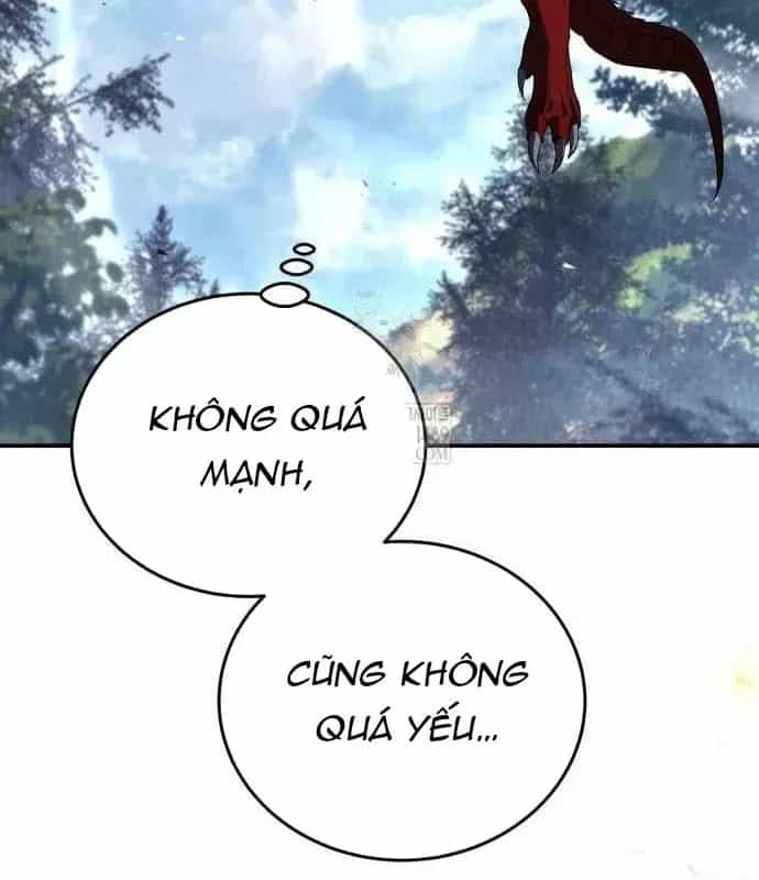 Kim Chiến Sĩ: Hành Trình Xây Dựng Đặc Tính - Chương 79 - ảnh 192