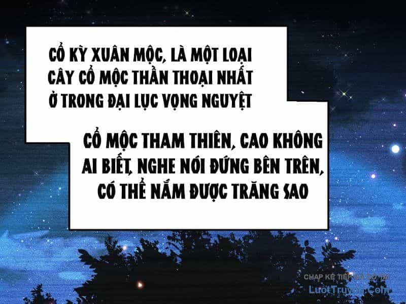 Kim Đan To Bằng Hằng Tinh! Ngươi Gọi Đây Mà Là Tu Tiên Á?! - Chương 13 - ảnh 2