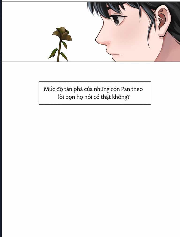 Kinhcomic Phù Thủy Kiến Tạo | Sự Trỗi Dậy Của Loài Pan - Chương 2 - ảnh 44