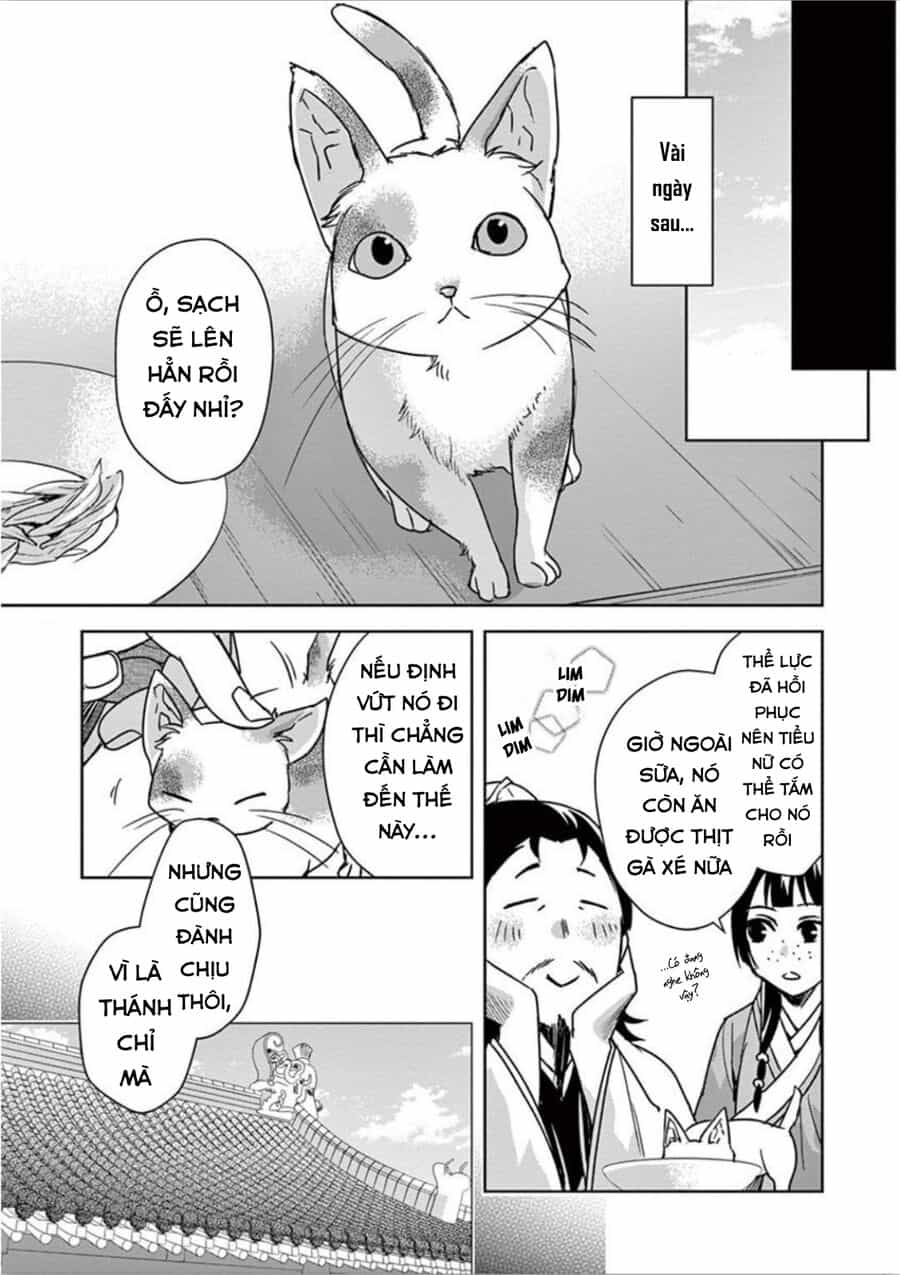 Kusuriya No Hitorigoto ~Maomao No Koukyuu Nazotoki Techou~ - Chương 32 - ảnh 7