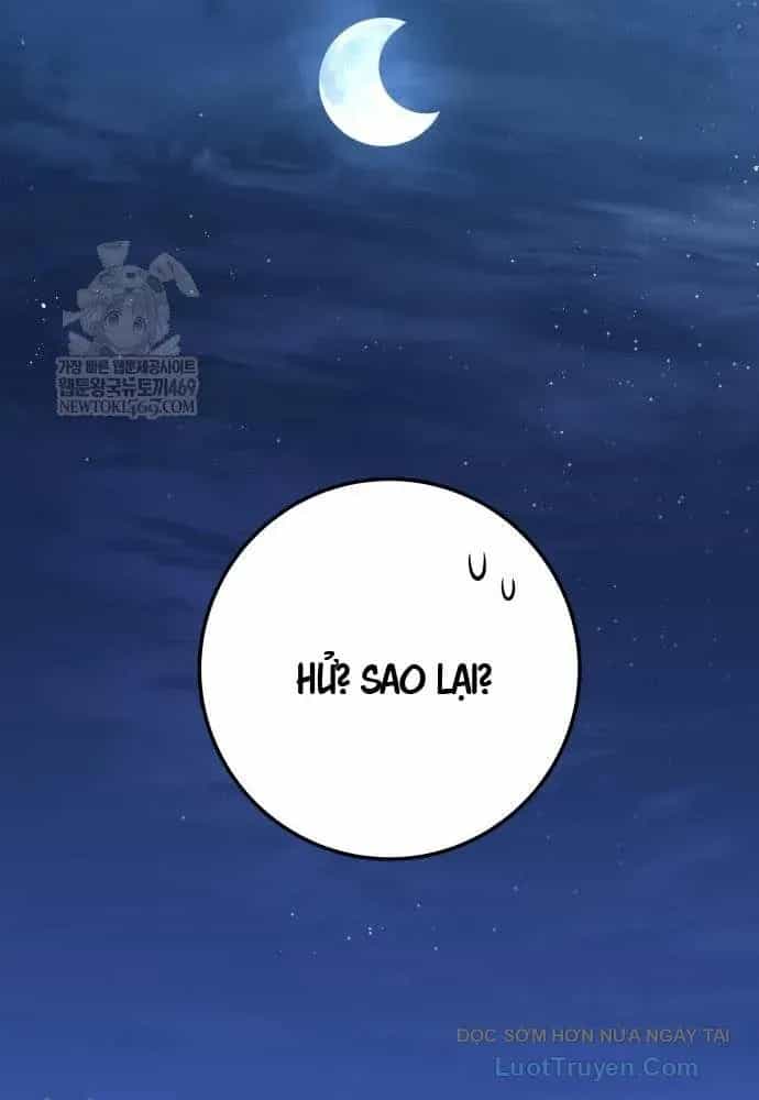Kỵ Sĩ Lang Thang - Chương 17 - ảnh 128