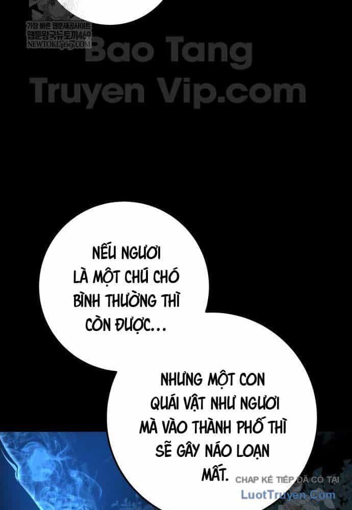 Kỵ Sĩ Lang Thang - Chương 18 - ảnh 17