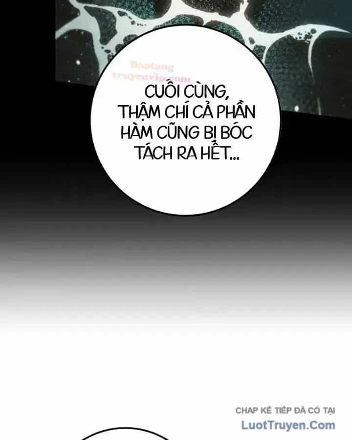 Kỵ Sĩ Lang Thang - Chương 32 - ảnh 155