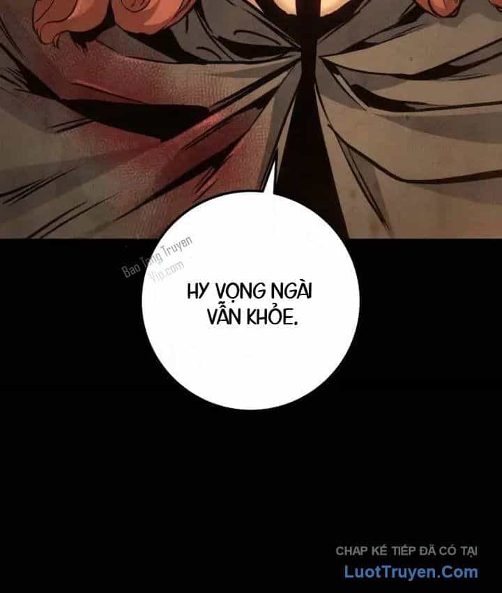 Kỵ Sĩ Lang Thang - Chương 33 - ảnh 41