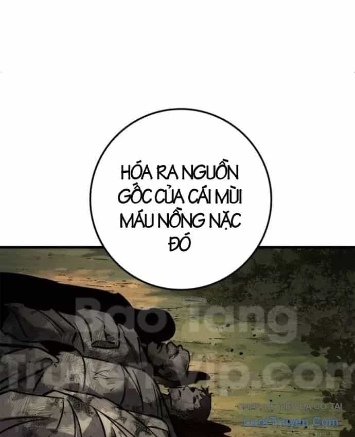 Kỵ Sĩ Lang Thang - Chương 37 - ảnh 229