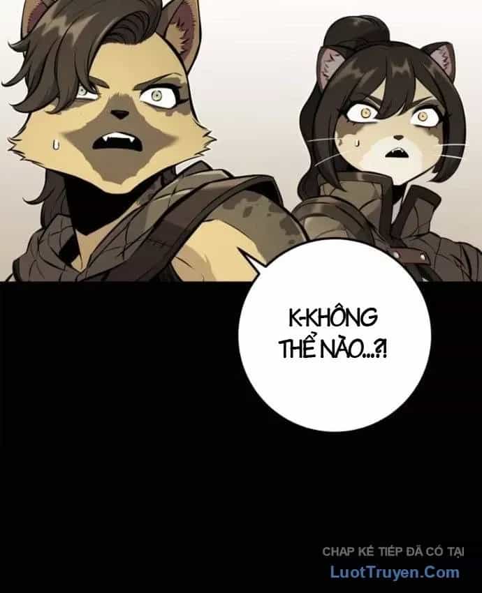 Kỵ Sĩ Lang Thang - Chương 37 - ảnh 43