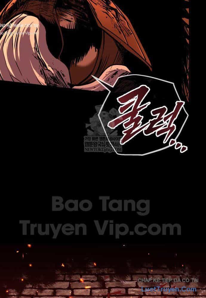 Kỵ Sĩ Lang Thang - Chương 9 - ảnh 246