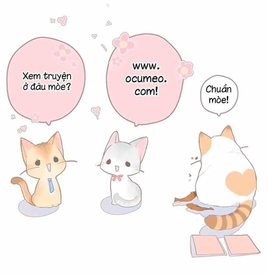Lại Gặp Được Em - Chương 97 - ảnh 33