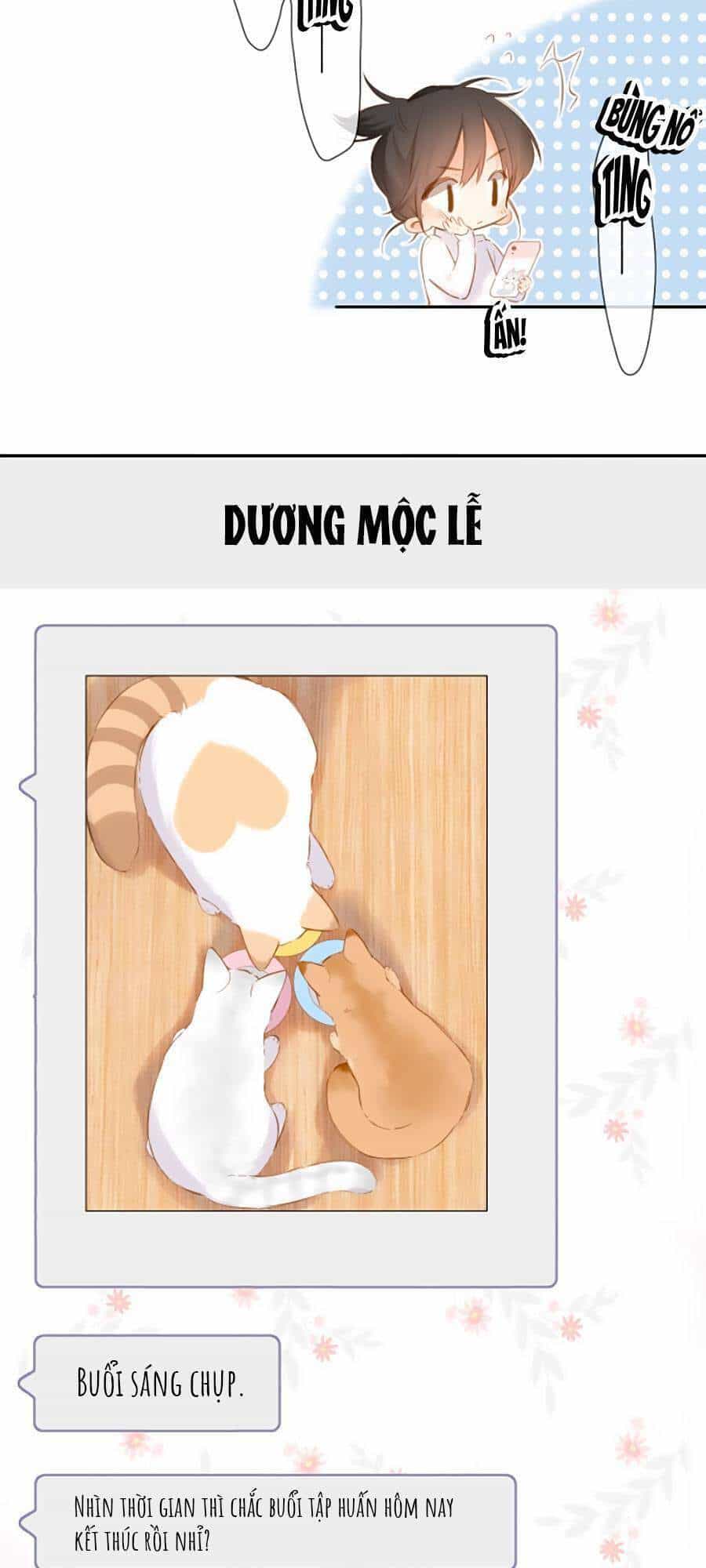 Lại Gặp Được Em - Chương 108 - ảnh 13