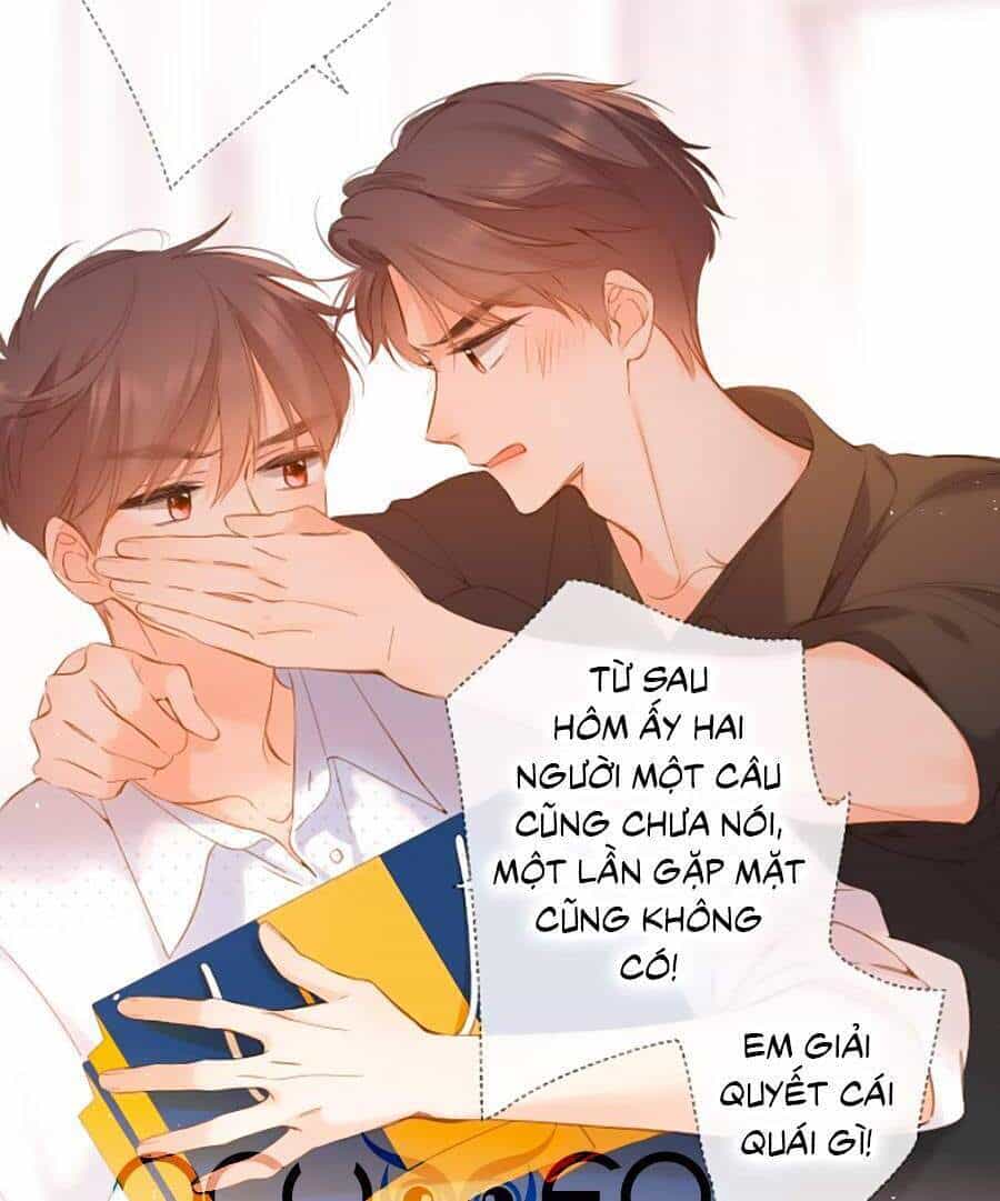 Lại Gặp Được Em - Chương 112 - ảnh 4