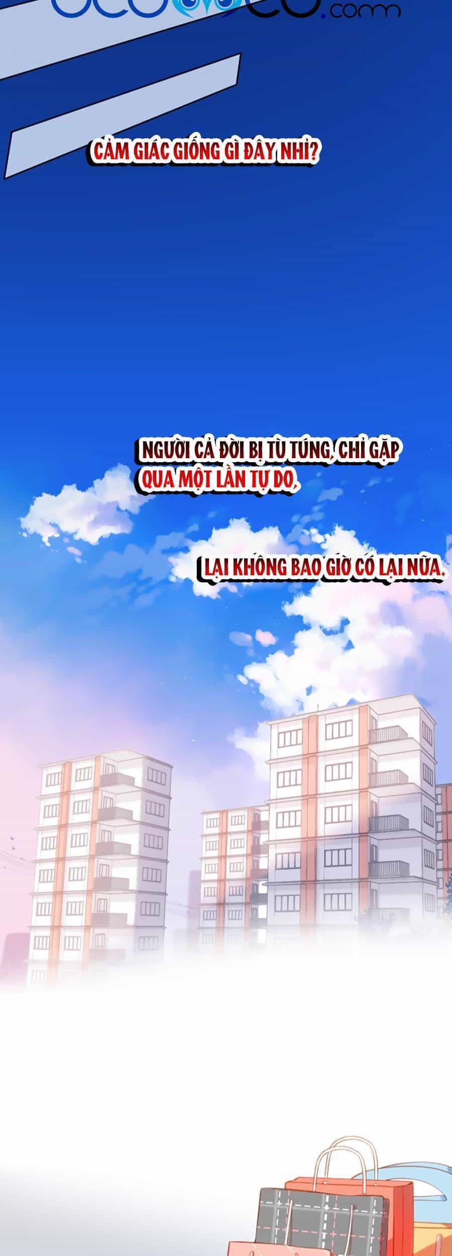 Lại Gặp Được Em - Chương 131 - ảnh 10