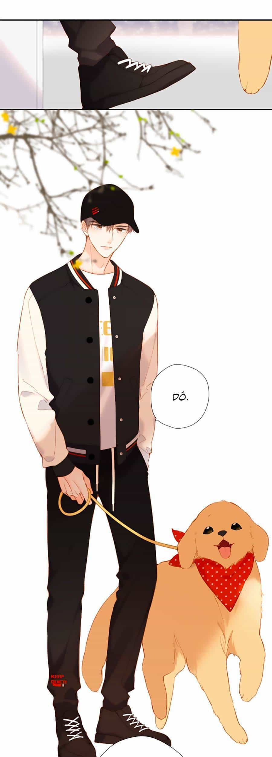 Lại Gặp Được Em - Chương 134 - ảnh 4