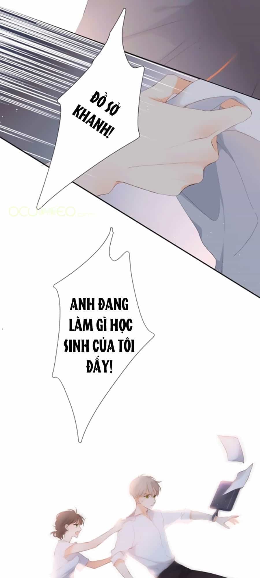 Lại Gặp Được Em - Chương 0.3 - ảnh 13