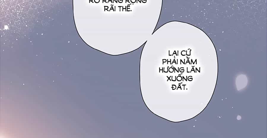 Lại Gặp Được Em - Chương 14 - ảnh 25