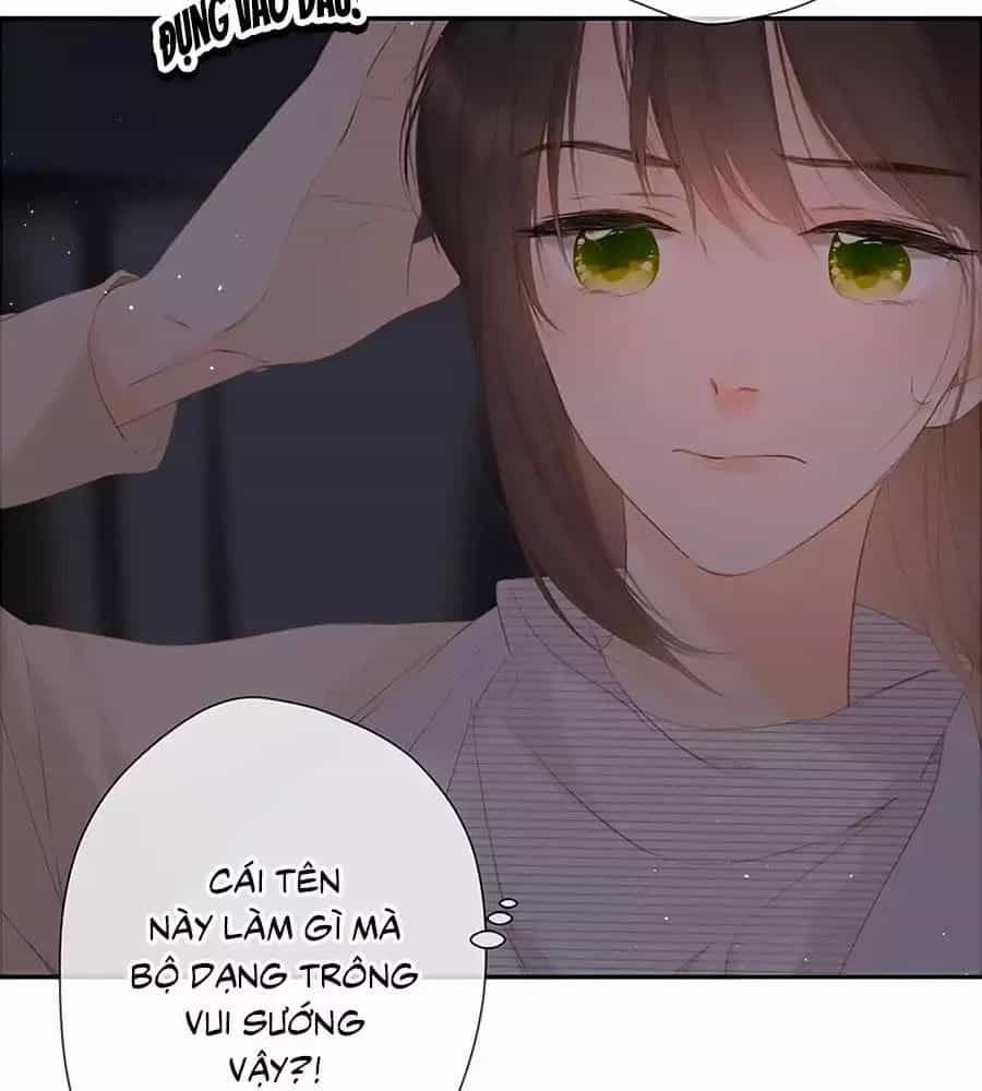 Lại Gặp Được Em - Chương 38 - ảnh 82