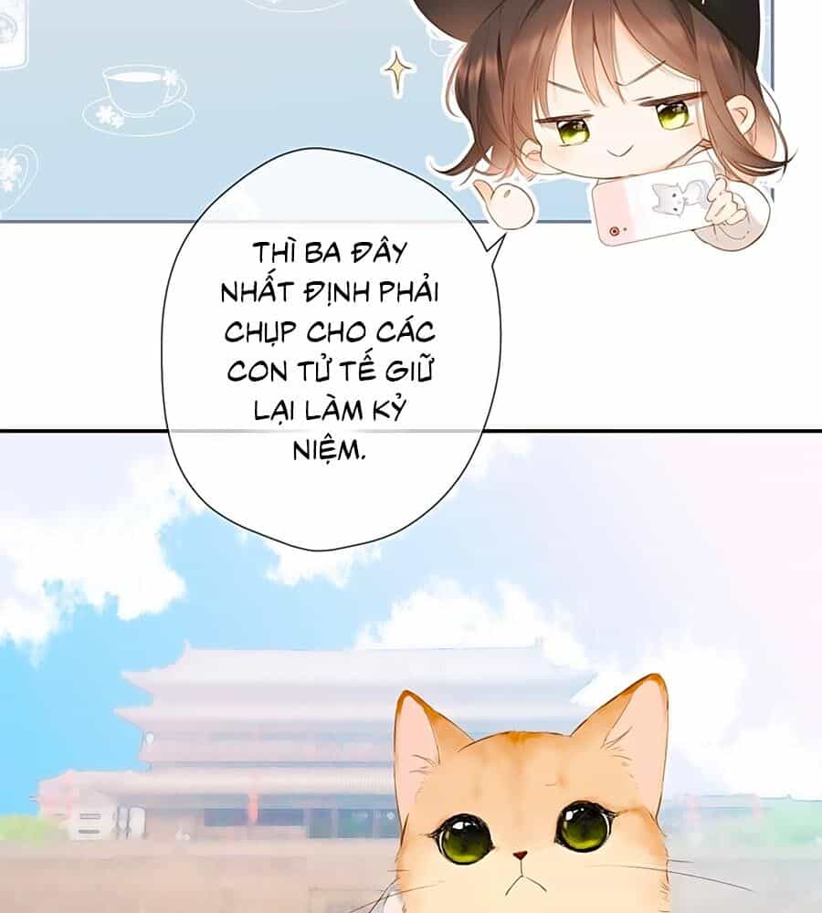 Lại Gặp Được Em - Chương 54.5 - ảnh 3