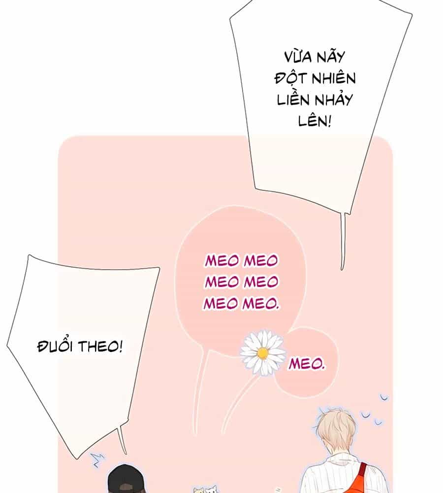 Lại Gặp Được Em - Chương 54.5 - ảnh 7