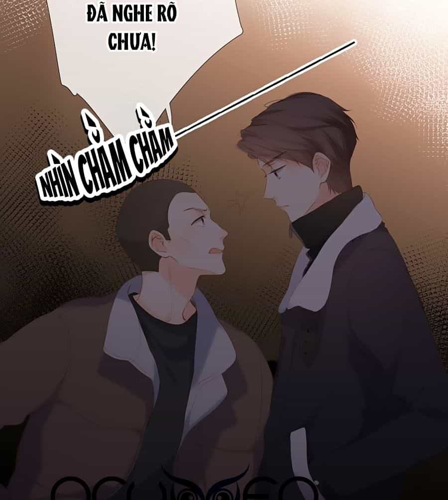 Lại Gặp Được Em - Chương 70 - ảnh 24