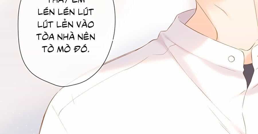 Lại Gặp Được Em - Chương 77 - ảnh 9