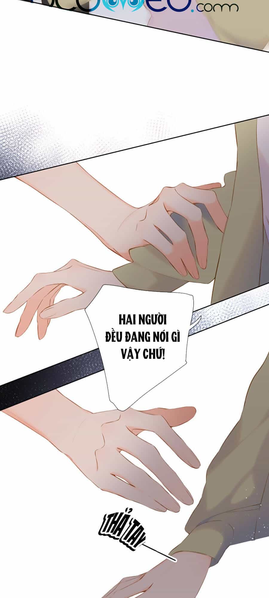 Lại Gặp Được Em - Chương 84 - ảnh 7