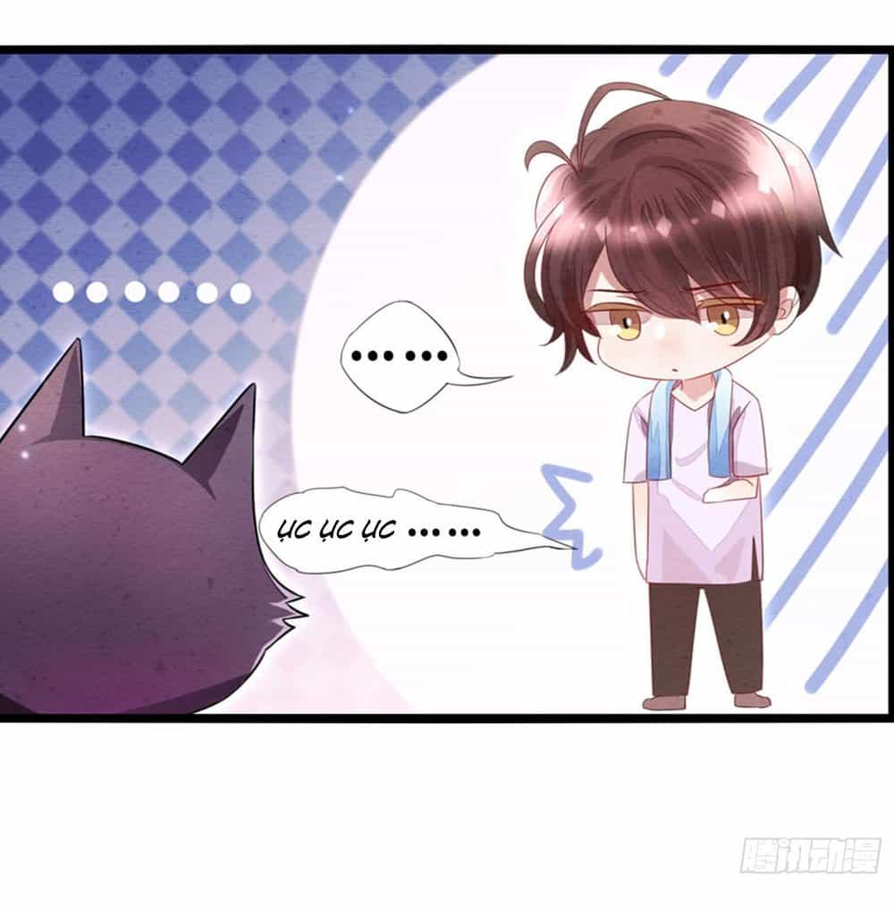 Làm Mèo Của Ta - Chương 2 - ảnh 7