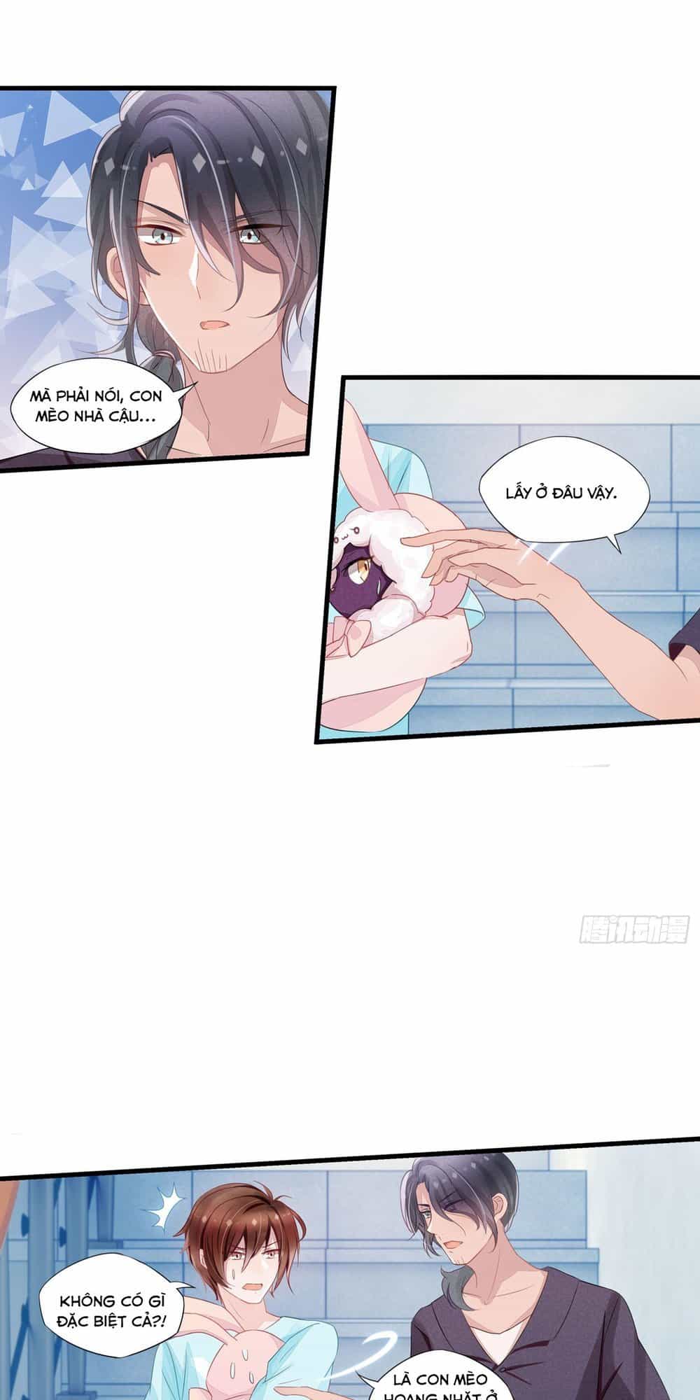 Làm Mèo Của Ta - Chương 5 - ảnh 13