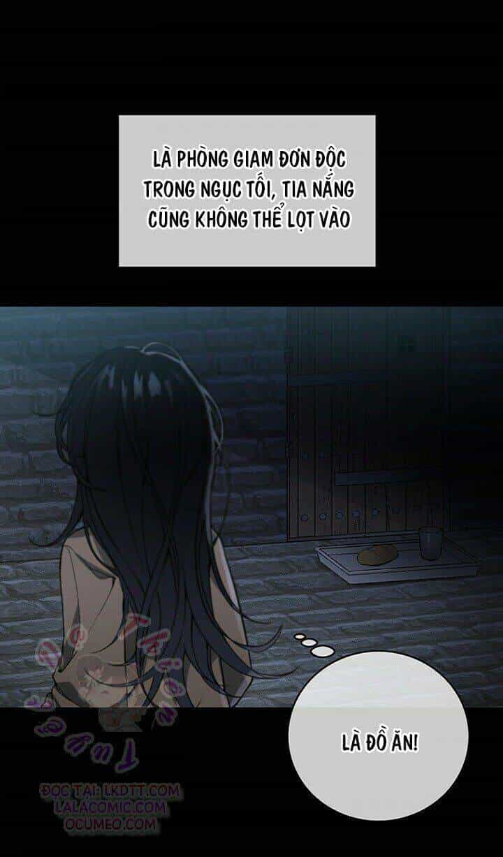 Lần Nữa Toả Sáng - Chương 1 - ảnh 45